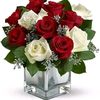 user78609100831858