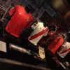 alesi.carp4