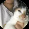 tik.tok25457