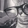 kitmit_4985