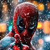 user61161711249255