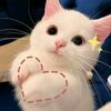 amy_02240