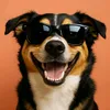 puredoglore
