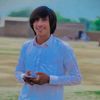 afaq.ahmed4789