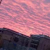 egorkgzefci