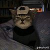 imuppp_rowrrrr