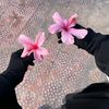 mimi.lslam68