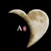 user81132590229946