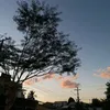 _____s_0_2