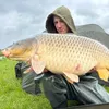 carplive4