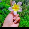 samira.akthrt...1