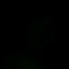 will_dosantos