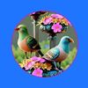 user9446240426
