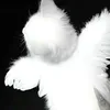 aminka.626