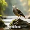kyliibyaka_