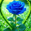 maroof.khan3046
