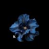 TigerLily