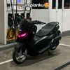 malnz40