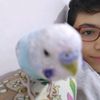 shadow_beko_