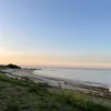mya_wgr