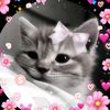 user14927914038