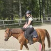 cornelia_hastkonto2