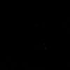 andriamiller_zz