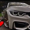 adam.hashesh7