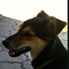 kikino_676.tiktok