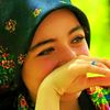 cirokek.249