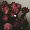 roza_r68