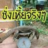 bankkok321