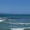 tiziana.sole