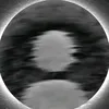 mojtaba2369