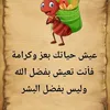 user2612617802066