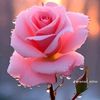 ia.mohamad2