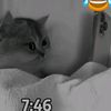 sevim.yrk5