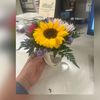 girasoltuyoymio