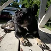 myfrenchiequincie