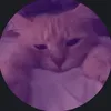 sleepydevxn