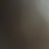 sharma_646