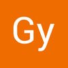 GyS import store