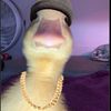 sam.boatman8