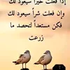 nouna63276