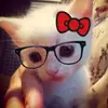 deyaaa703