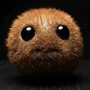 kiwi_niche_fr