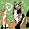 hazypaws8