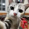 linh.cute.ph.mai31