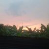 azurra_76