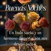 user4393374125052